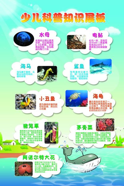 石家庄工程技术学校举办网络安全知识科普讲座